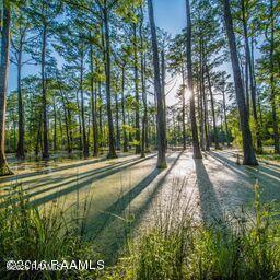 Land in St. Martinville 3