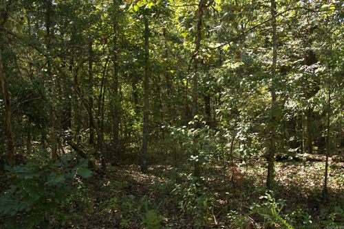 1505 Blackbird Ln, Horseshoe Bend, AR, 72512 | Card Image