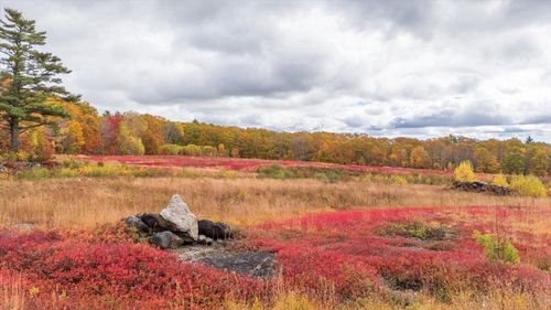 Map 4 Lot 3 Clarry Hill Lane, Union, ME, 04862 | Card Image