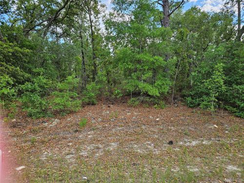 1681 W Skyline Drive, DUNNELLON, FL, 34434 | Card Image