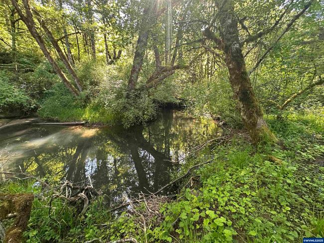 24404 Highway 20, House other with 3 bedrooms, 1 bathrooms and null parking in Philomath OR | Image 24
