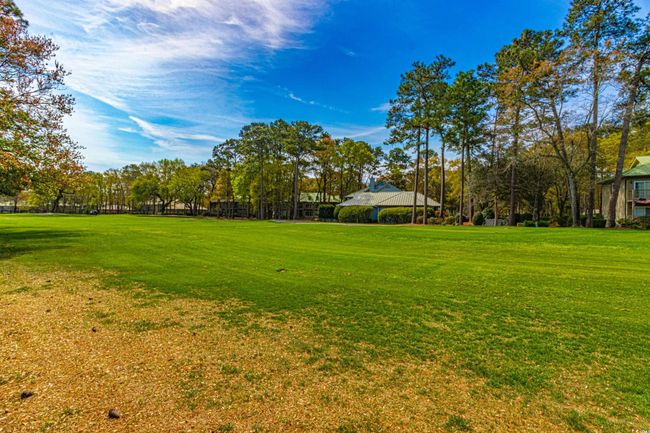 View of yard | Image 35