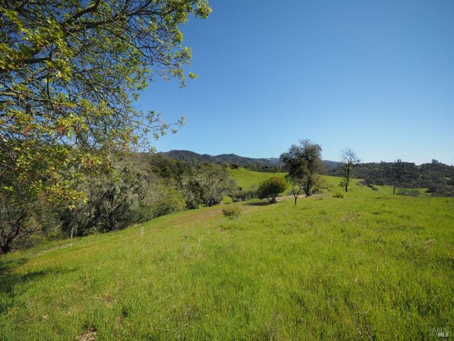 23655 Vineyard Rd, Home with 0 bedrooms, 0 bathrooms and null parking in Geyserville CA | Image 5