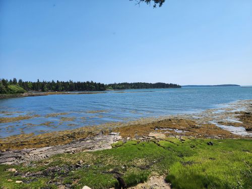 25 Chambers Point Road, Roque Bluffs, ME, 04654 | Card Image