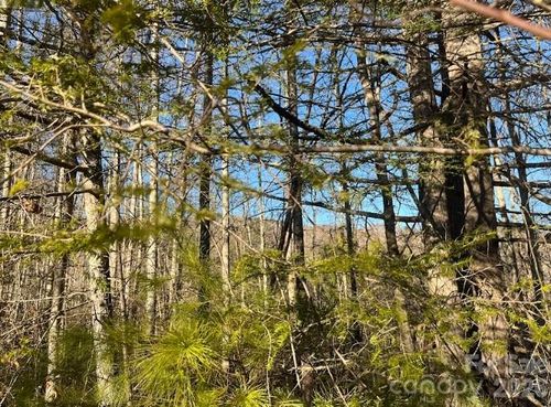 0000 Shelton Laurel Rd, Clyde, NC, 28721 | Card Image