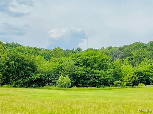 0 Deer Run Plat 12 Lot 9, Van Buren, MO, 63965 | Card Image