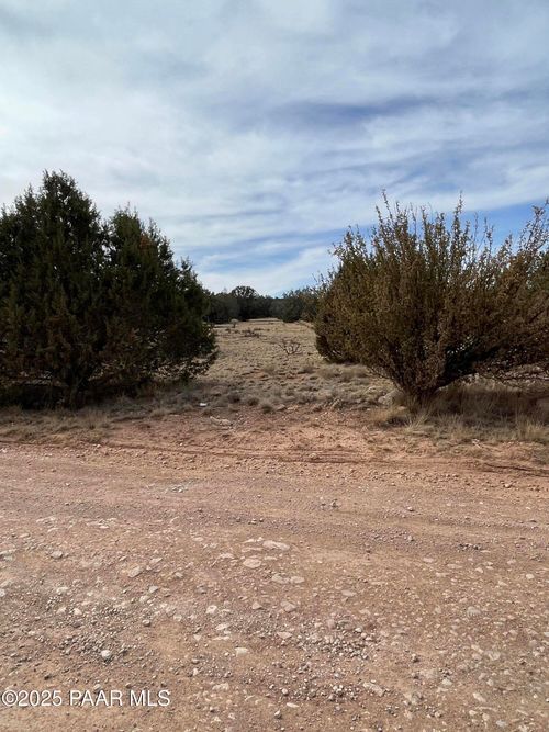 54392 N Via De Oro Pakway, Seligman, AZ, 86337 | Card Image