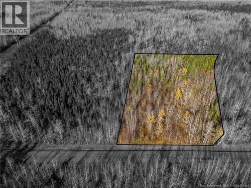 2 Bateman Mill Rd, Shediac Cape, NB, E4P2Z2 | Card Image