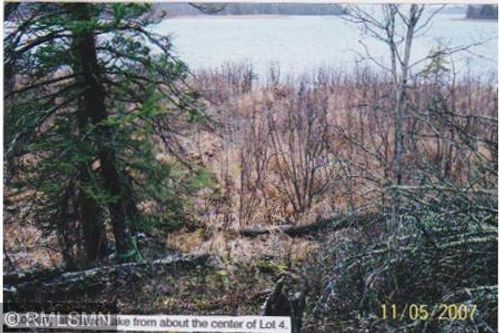4xxxx Moose Bay Trl, Northome, MN, 56661 | Card Image