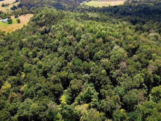 1730 Sinclair Rd, Home with 0 bedrooms, 0 bathrooms and null parking in Johnson VT | Image 35