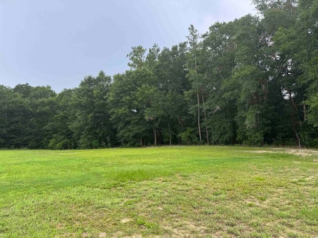 71 Mohican Dr, House other with 4 bedrooms, 2 bathrooms and 4 parking in Georgetown SC | Image 8