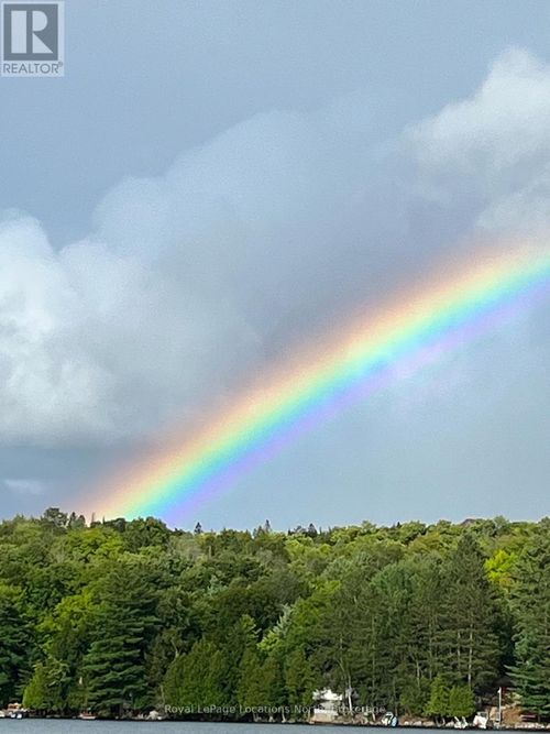 1433 S Horn Lake Rd, Burks Falls, ON, P0A1C0 | Card Image