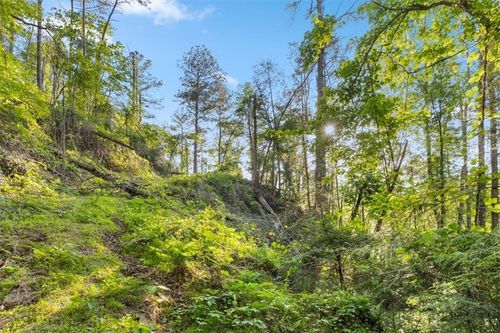 0 Chastain Ct, Marble Hill, GA, 30148 | Card Image