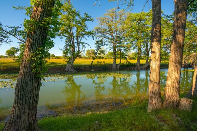 View of water feature | Image 37