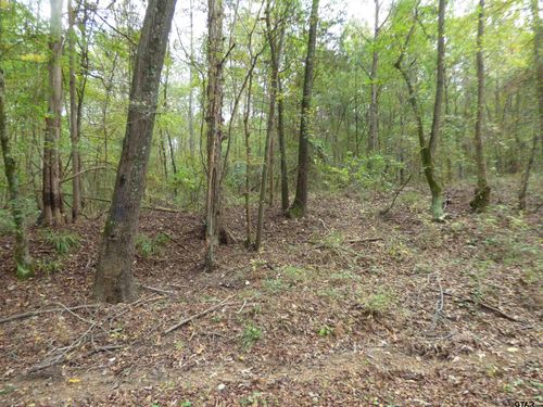 9371 County Road 3416, Leesburg, TX, 75451 | Card Image