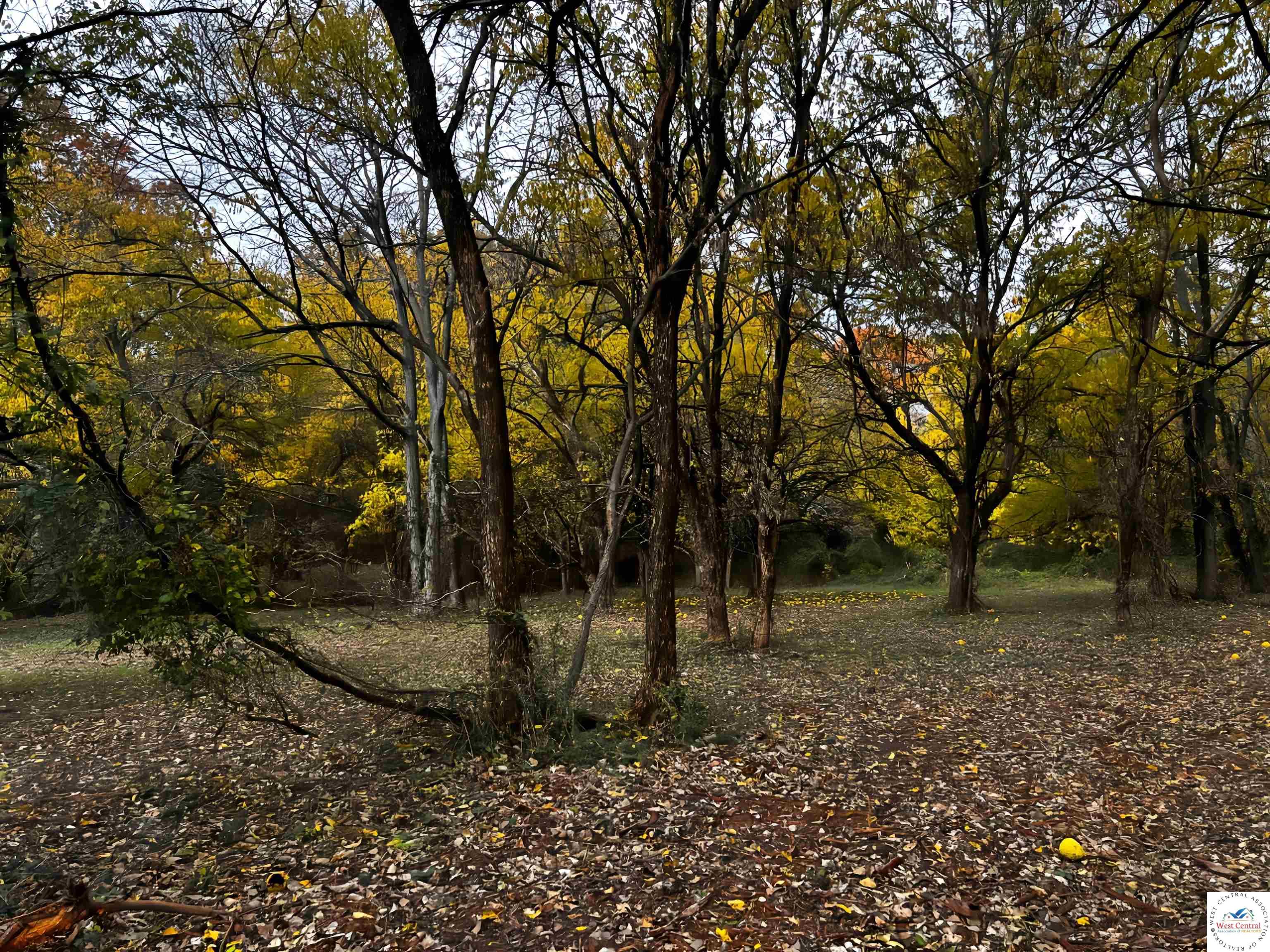 Land in Clinton 2