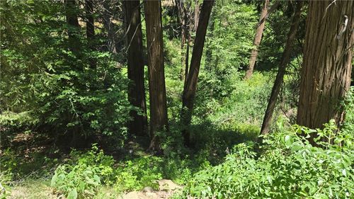 0 Burnt Mill Canyon Rd, Cedarpines Park, CA, 92322-0163 | Card Image