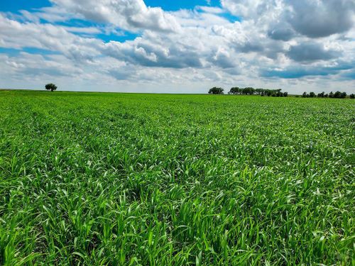 34510 County Rd Kk, Cheraw, CO, 81030 | Card Image