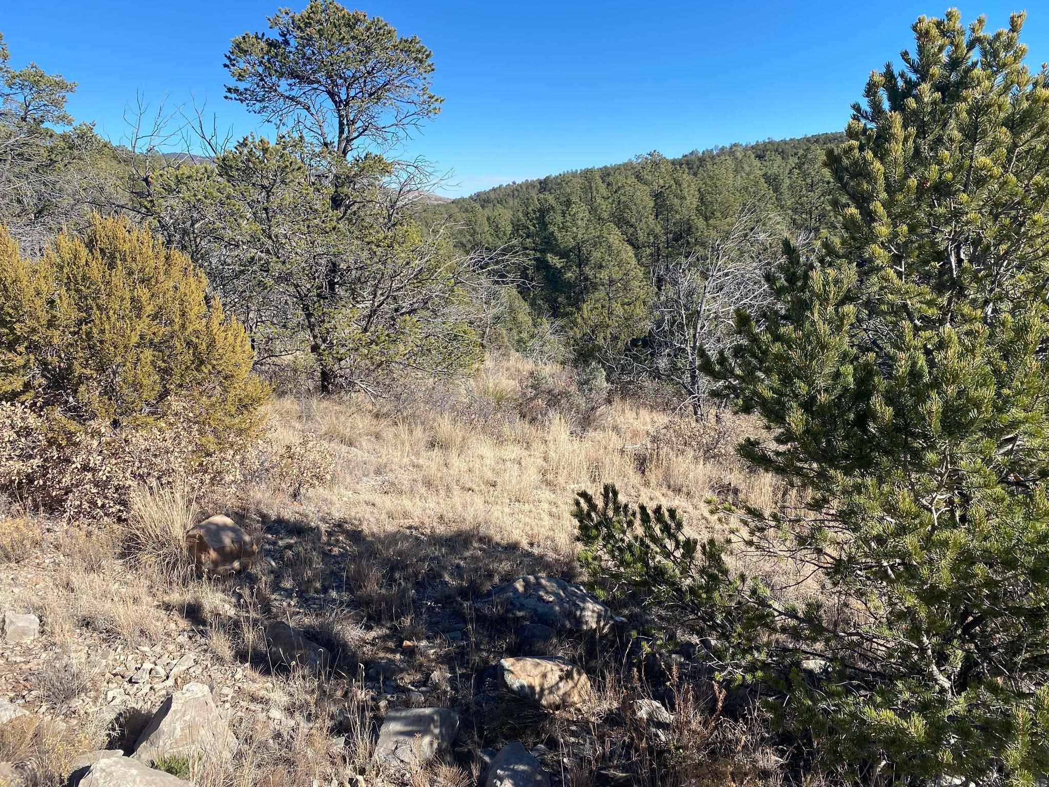 Land in Timberon 4