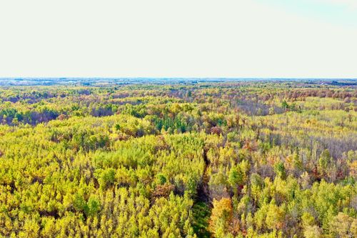 NA Na, Skelton Twp, MN, 55707 | Card Image