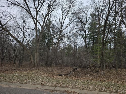L2, B1 131st Street Nw, Zimmerman, MN, 55398 | Card Image