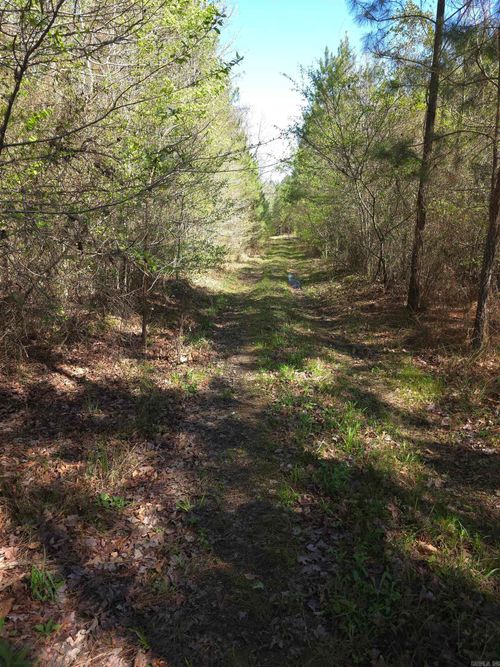 TBD Shawmut Rd, Murfreesboro, AR, 71958 | Card Image