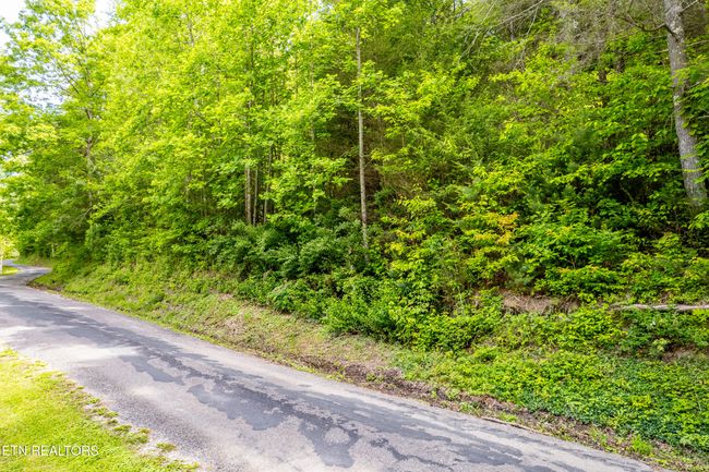 000 Cane Creek Mountain Rd, Home with 0 bedrooms, 0 bathrooms and null parking in Tellico Plains TN | Image 5
