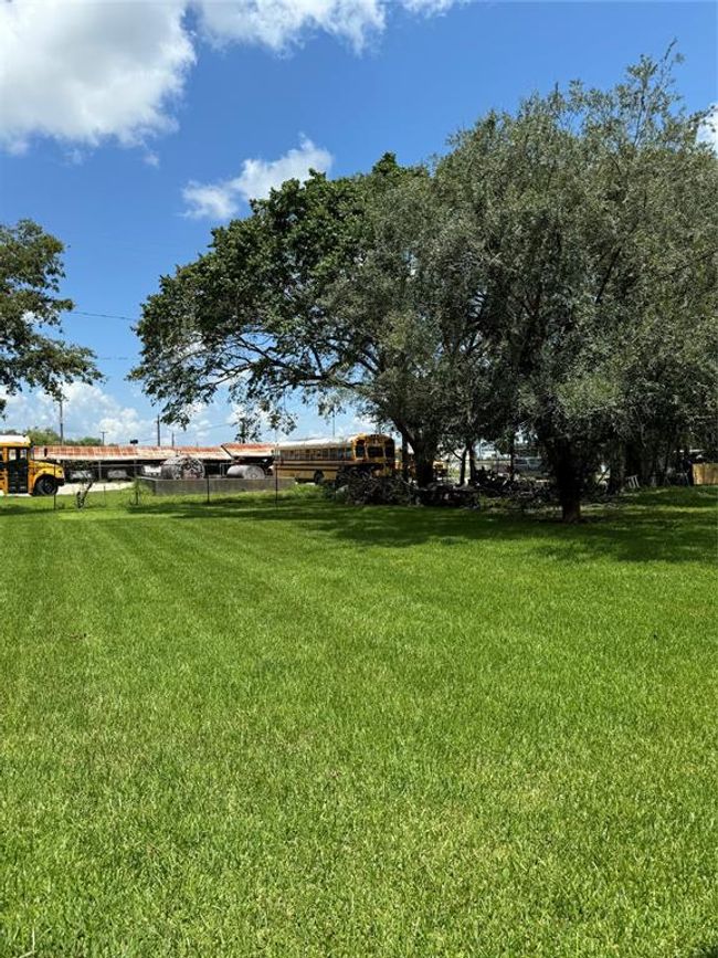 Back Yard | Image 5