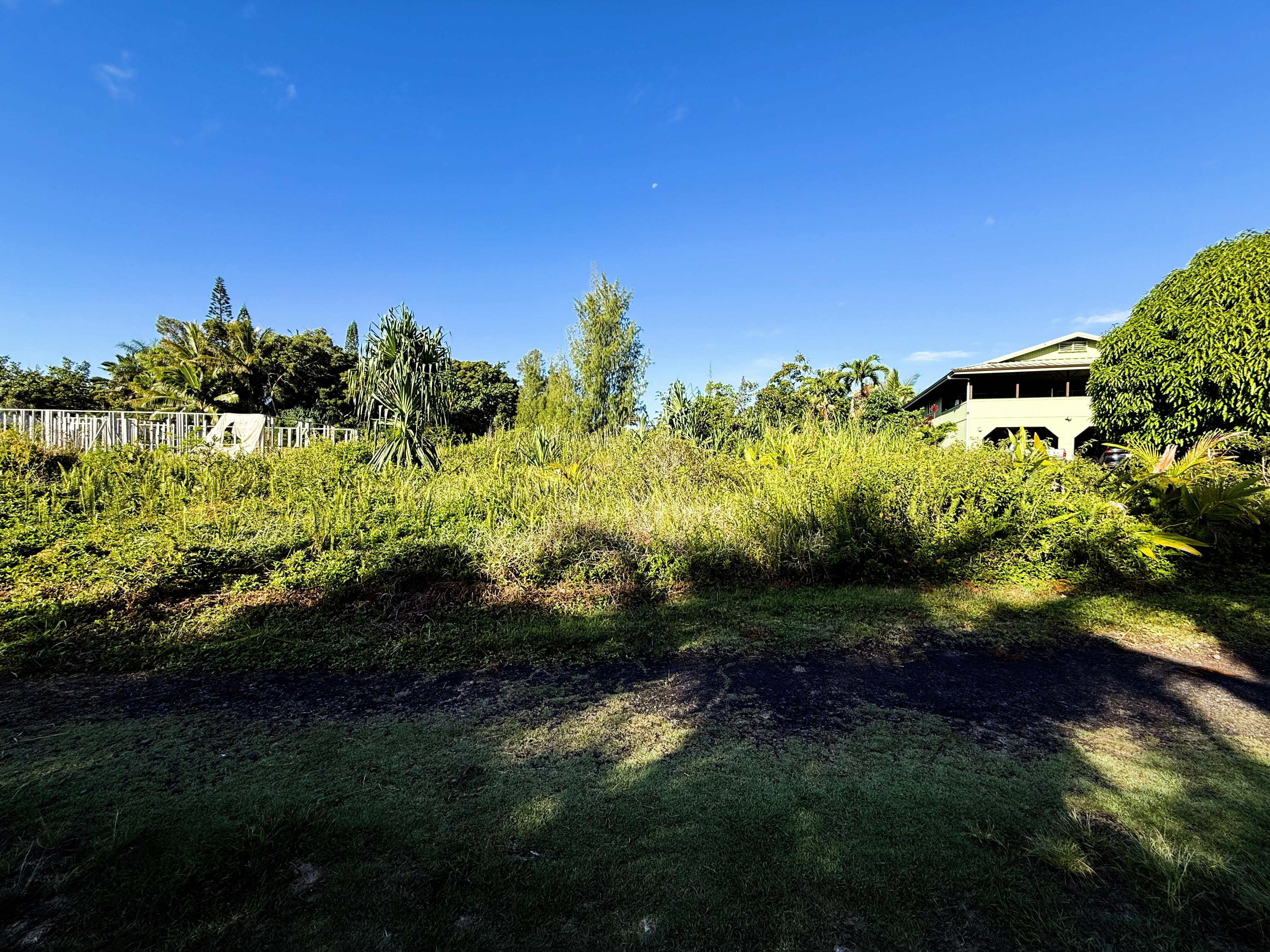 Land in Keaau 2