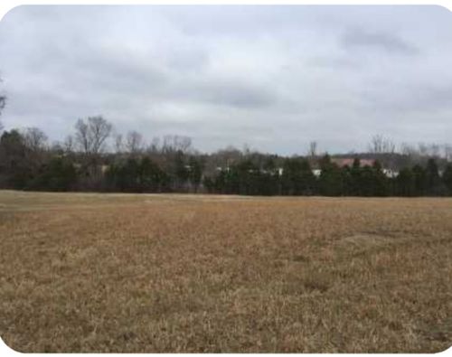 300 N Mount Juliet Rd, Mount Juliet, TN, 37122 | Card Image