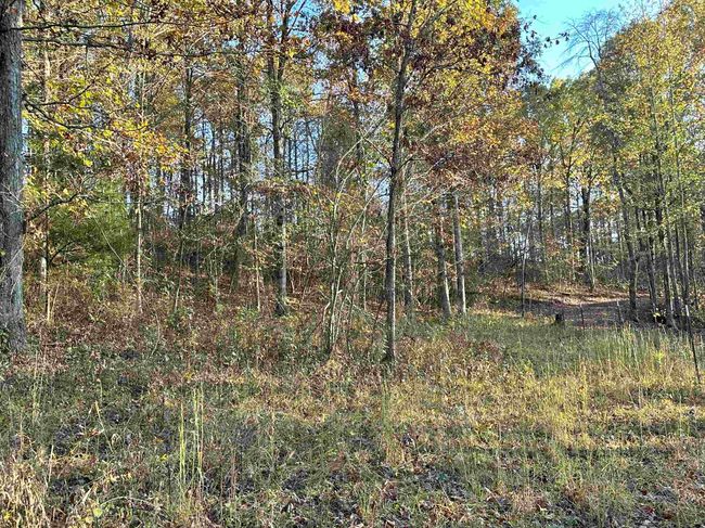 8997 Highway 9, House other with 2 bedrooms, 2 bathrooms and null parking in Mountain View AR | Image 45