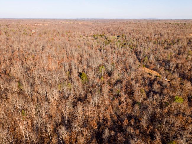 23 Acres003 | Image 5