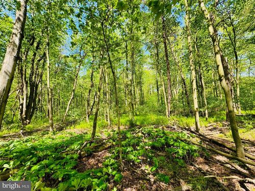 Lot: 37 Tar Kiln Rd, James Creek, PA, 16657-7102 | Card Image