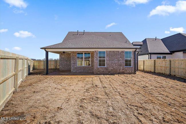 Panola | Image 33