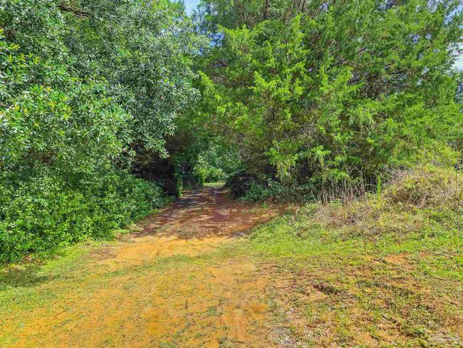 6640 Frank Reeder Rd, House other with 3 bedrooms, 2 bathrooms and 1 parking in Pensacola FL | Image 26
