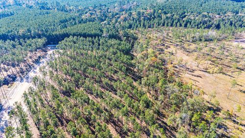 0012 Big Buck Drive, Moscow, TX, 75960 | Card Image