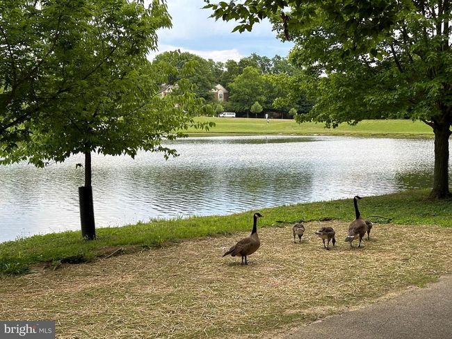 APT-101 - 15618 Everglade Ln, Condo with 2 bedrooms, 2 bathrooms and null parking in BOWIE MD | Image 12