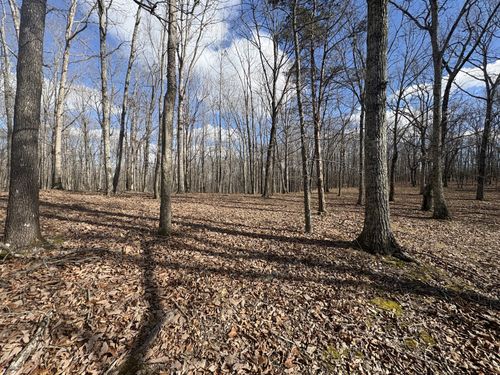 0 Daniel Rd, Waverly, TN, 37185 | Card Image