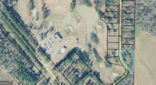 VACANT LOTS River Ridge Dr, Hawkinsville, GA, 31036 | Card Image