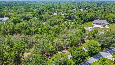 51 Oak Village Boulevard, Home with 0 bedrooms, 0 bathrooms and null parking in Homosassa FL | Image 3