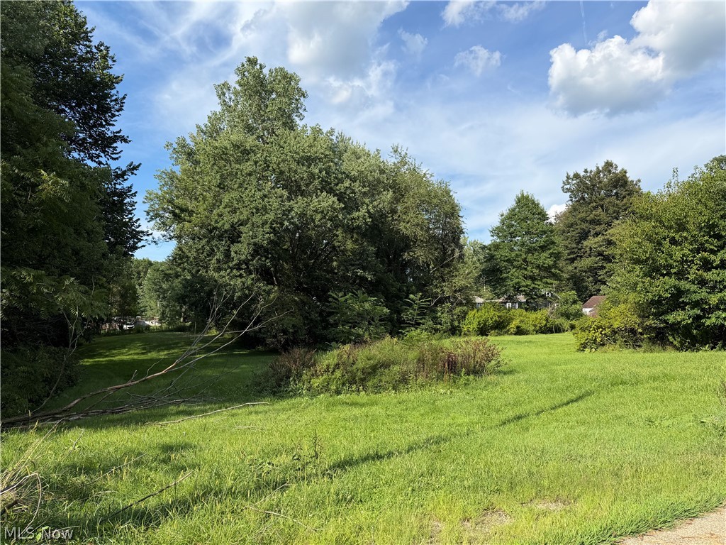 Land in Canton 2