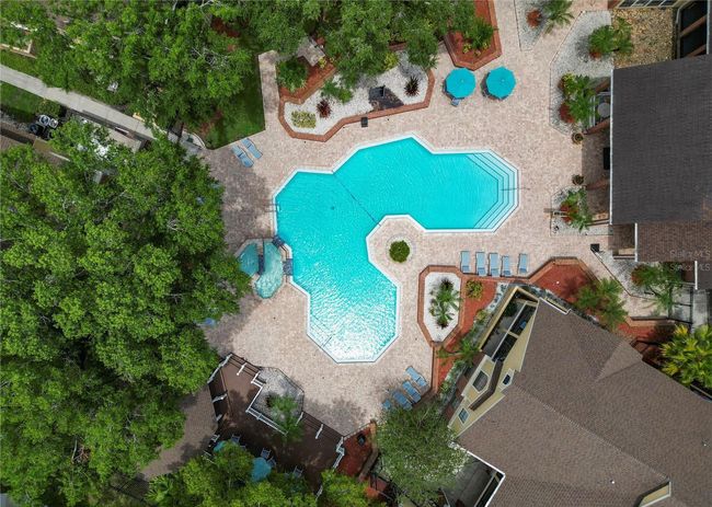 UNIT-202 - 8659 Fancy Finch Dr, Condo with 2 bedrooms, 2 bathrooms and null parking in TAMPA FL | Image 78