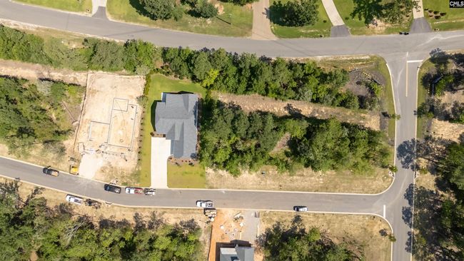 812 Elms Spinney Ln, Home with 0 bedrooms, 0 bathrooms and null parking in Chapin SC | Image 35