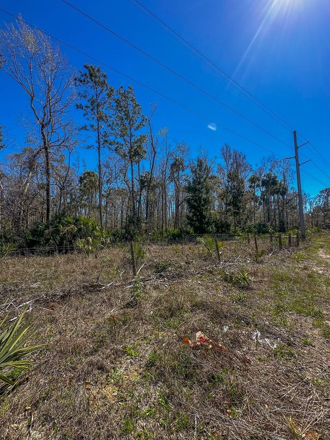 915 Sw 248th Ave, Home with 0 bedrooms, 0 bathrooms and null parking in Steinhatchee FL | Image 9