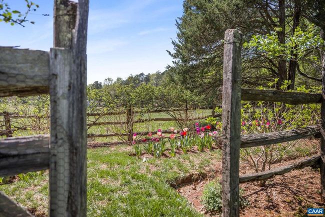 1985 Stony Point Rd, House other with 4 bedrooms, 5 bathrooms and null parking in CHARLOTTESVILLE VA | Image 59