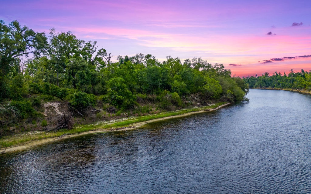 Land in Live Oak