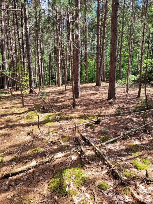 00 N Lakola Rd, Leroy, MI, 49655 | Card Image