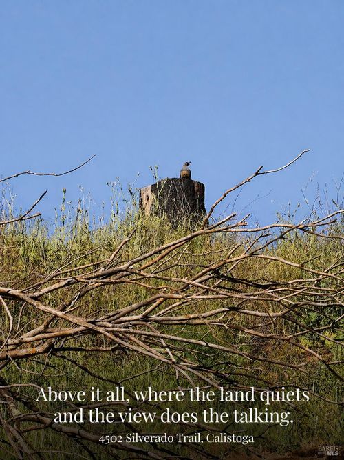 4502 Silverado Trl, Calistoga, CA, 94515-9647 | Card Image