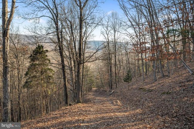 LOT 4 Back Creek Rd, Home with 0 bedrooms, 0 bathrooms and null parking in GORE VA | Image 13