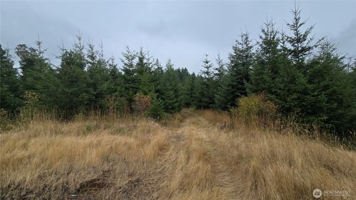9207 Old Olympic Hwy Nw, Olympia, WA, 98502 | Card Image